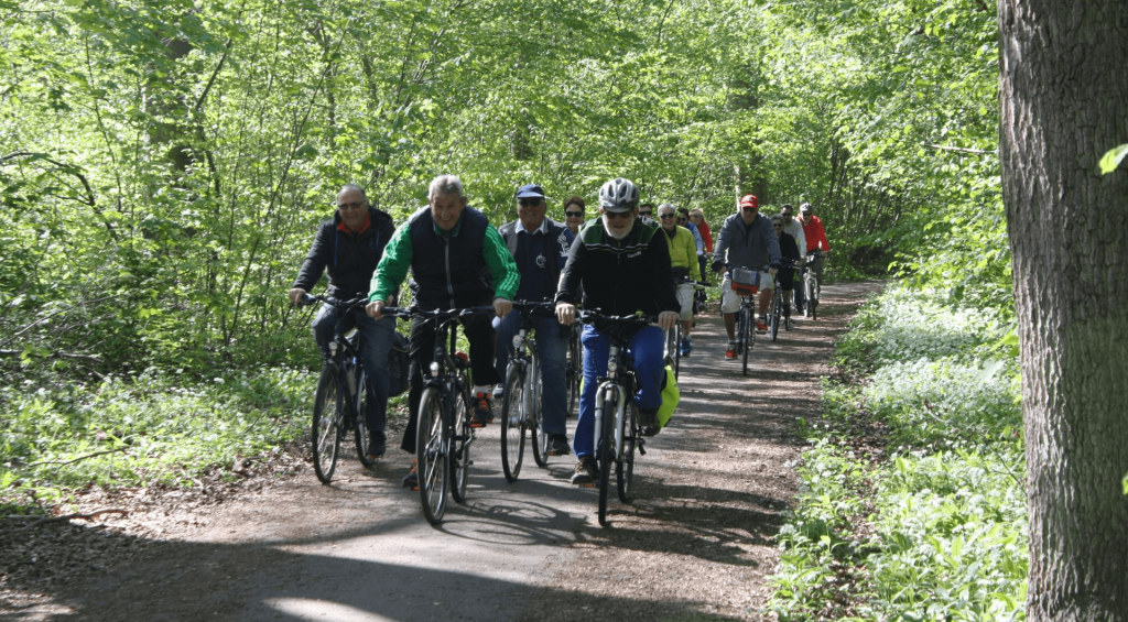 Spazierfahrt anlässlich des Maisglöckchenfests